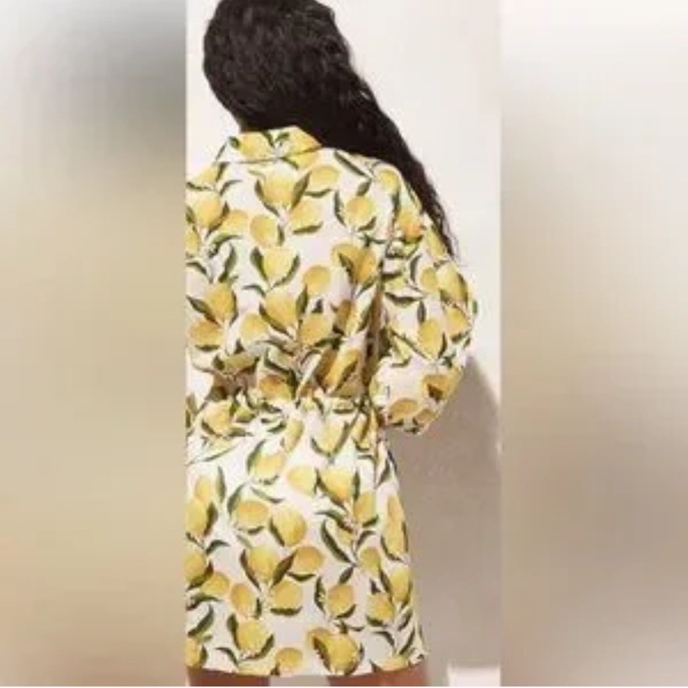 J Crew Cinch Waist Shirt Dress in Lemon Print Limoncello Voile Button-Up Dress - Picture 3 of 15